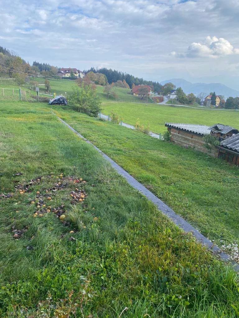 Haus kaufen in Sankt Veit an der Glan – 126 m², € 299.000 – Bild 16 von 20