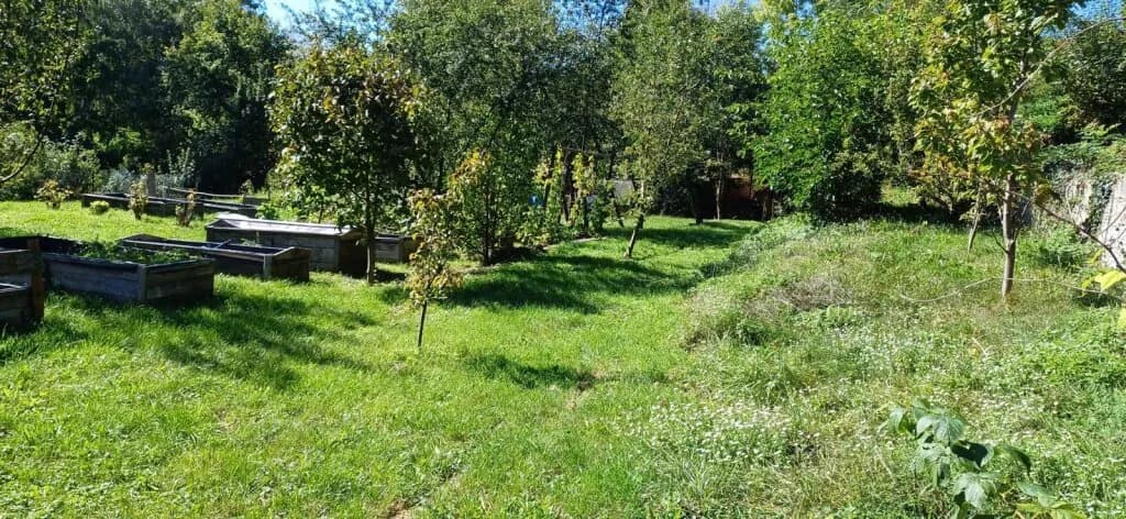 Grundstück kaufen in Neunkirchen – 1 602 m², € 225.000 – Bild 2 von 5
