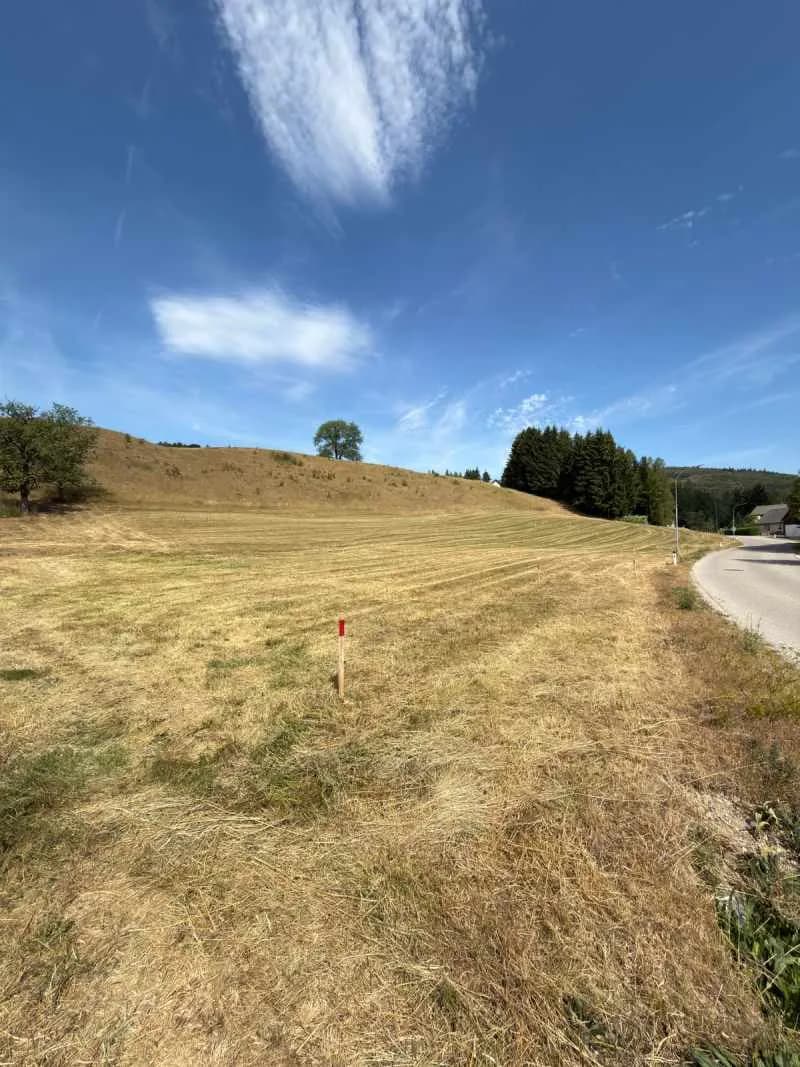 Grundstück kaufen in Baden – 545 m², € 65.400 – Bild 2 von 4