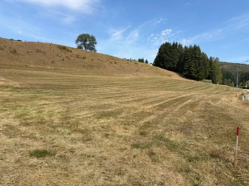 Grundstück kaufen in Baden – 719 m², € 79.080 – Bild 3 von 4