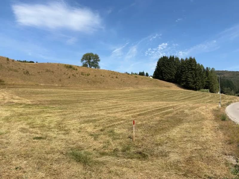 Grundstück kaufen in Baden – 894 m², € 87.140