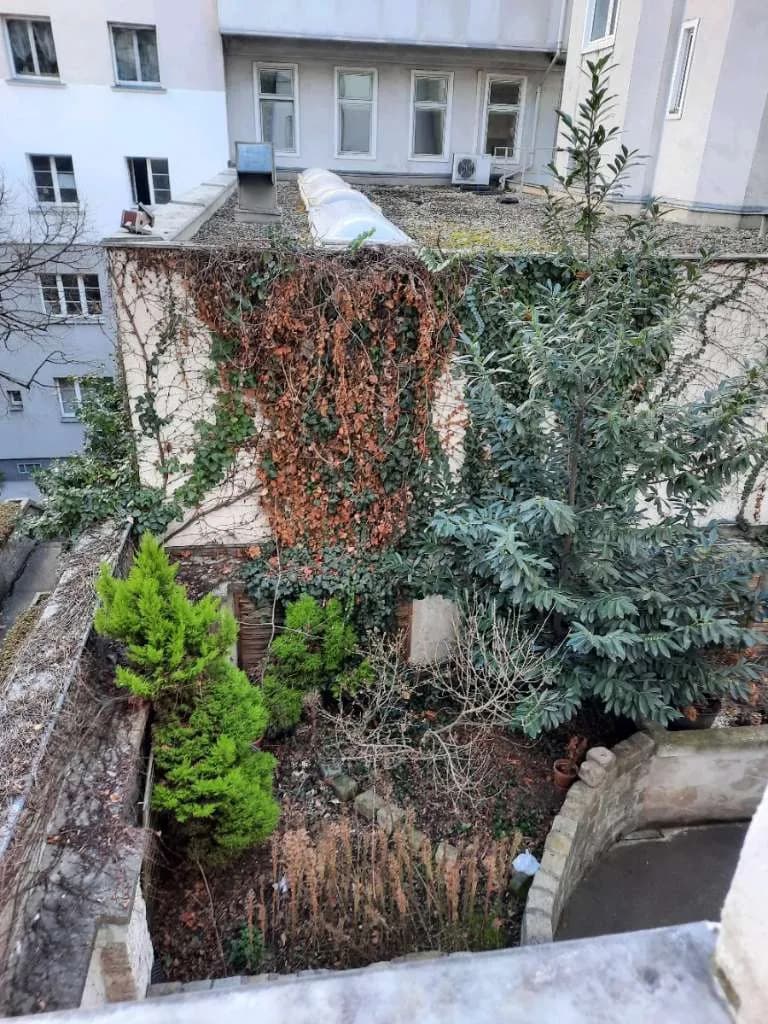 2-Zimmer-Wohnung mieten in Wien – 42 m², € 690 – Bild 13 von 17