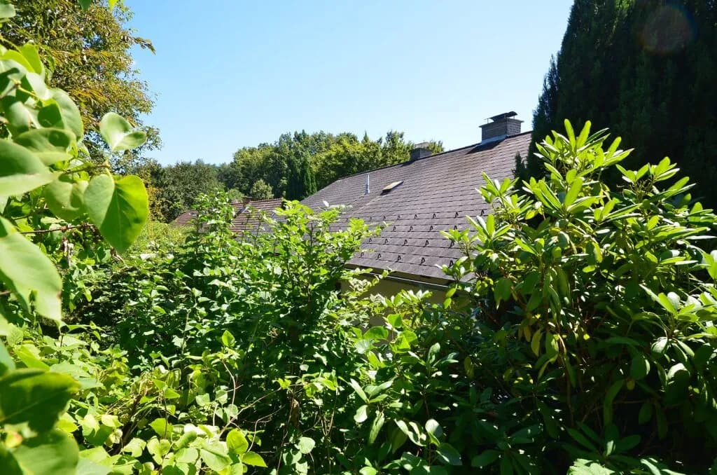 Haus kaufen in Jennersdorf – 123 m², € 260.000 – Bild 19 von 36