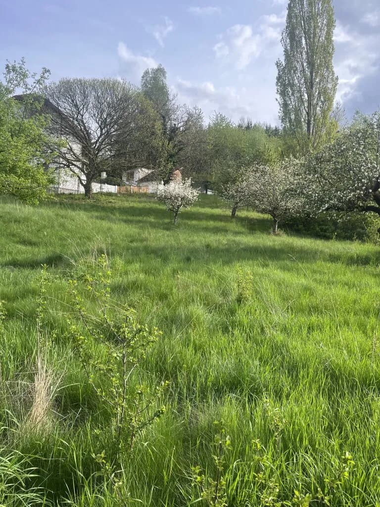 Immobilie kaufen in Neunkirchen – 2 485 m² – Bild 7 von 24