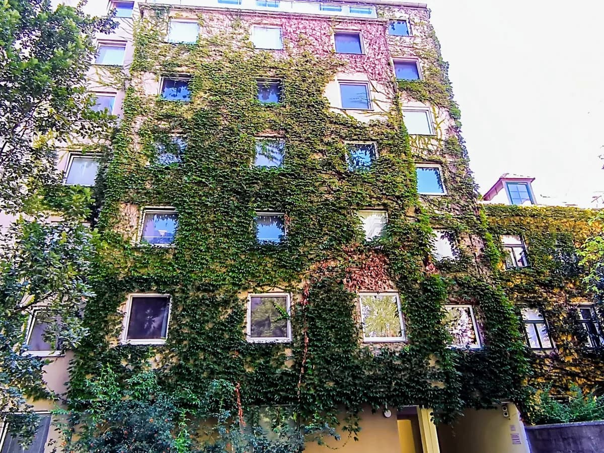 1-Zimmer-Wohnung mieten in Wien – 38 m², € 800 – Bild 2 von 14