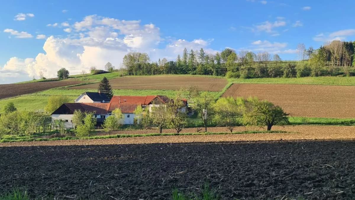 3-Zimmer-Haus kaufen in Güssing – 75 m², € 150.000