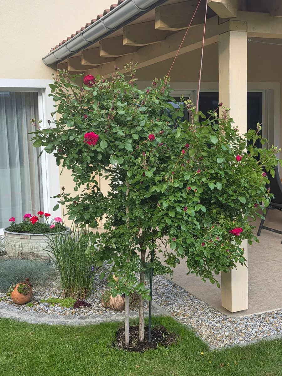 6-Zimmer-Haus kaufen in Hartberg-Fürstenfeld – 160 m², € 660.000 – Bild 15 von 30