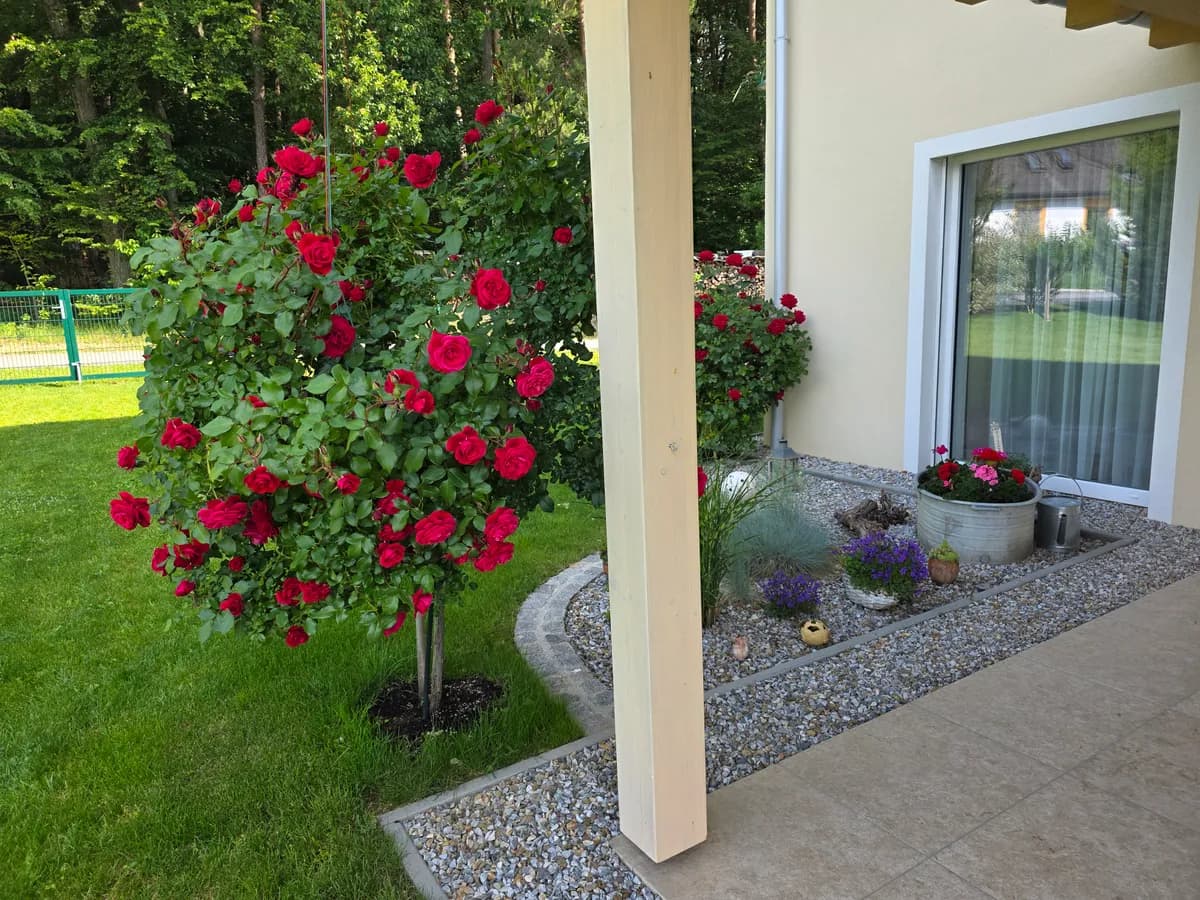 6-Zimmer-Haus kaufen in Hartberg-Fürstenfeld – 160 m², € 660.000 – Bild 19 von 30