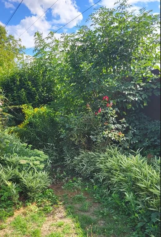 Immobilie kaufen in Linz Land – 432 m², € 65.000 – Bild 13 von 15