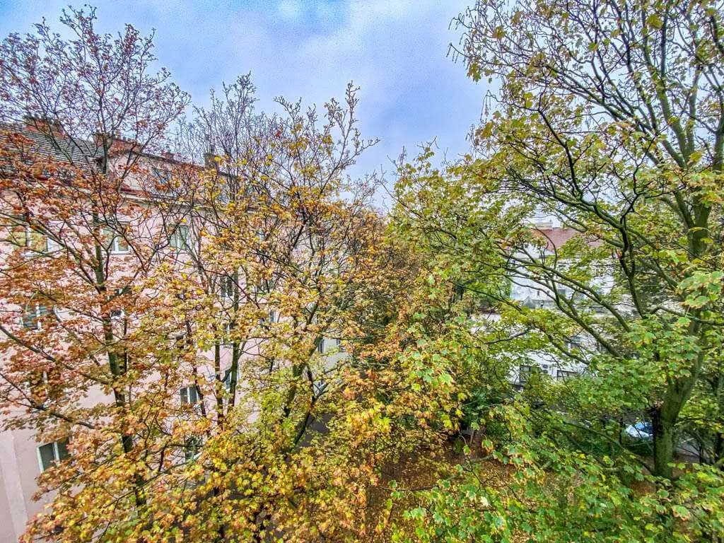Immobilie kaufen in Wien – 251,66 m², € 249.000 – Bild 4 von 10
