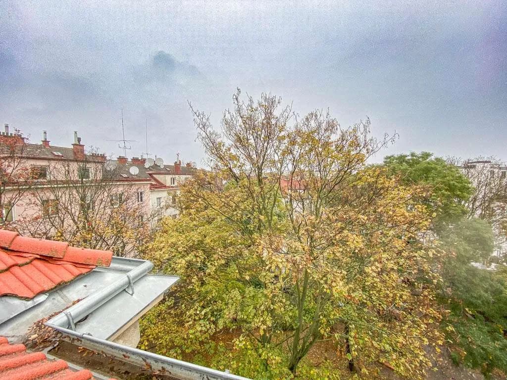 Immobilie kaufen in Wien – 251,66 m², € 249.000 – Bild 6 von 10