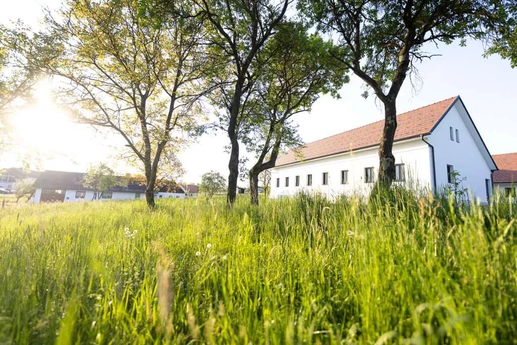 2-Zimmer-Wohnung mieten in Jennersdorf – 43 m², € 820 – Bild 12 von 13