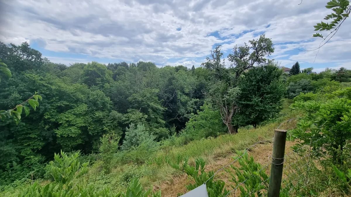 Immobilie mieten in Graz-Umgebung – 500 m², € 3.500 – Bild 2 von 10