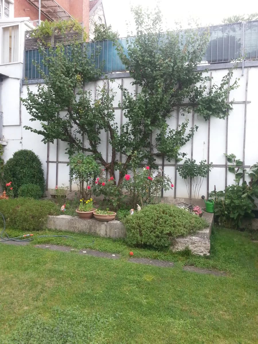 2-Zimmer-Wohnung mieten in Schärding – 60 m², € 570 – Bild 3 von 4