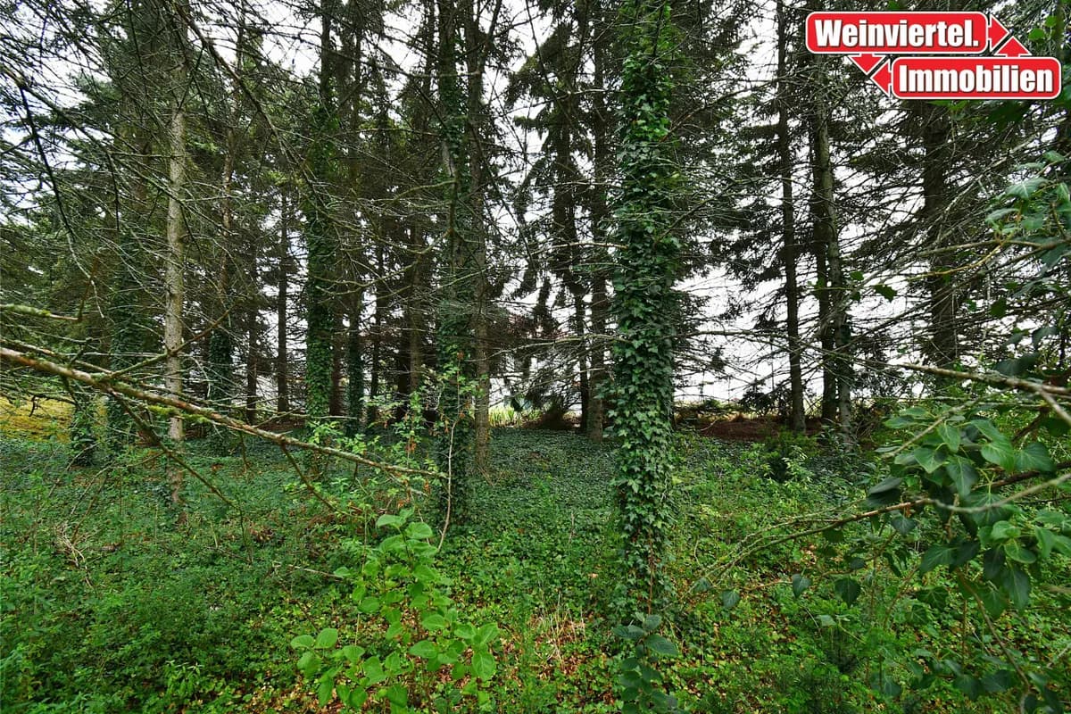 Haus kaufen in Mistelbach – 130 m², € 85.000 – Bild 14 von 14