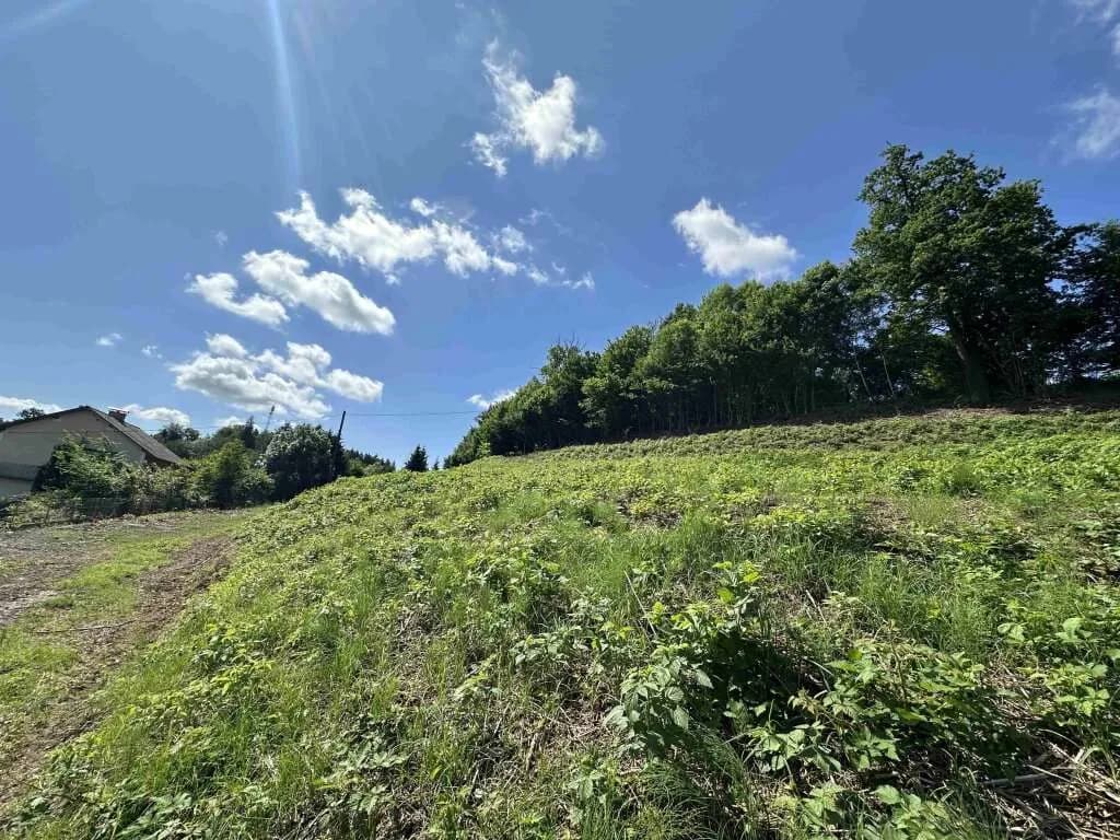 Gewerbeimmobilie kaufen in Deutschlandsberg – 7 743 m², € 1.590.000 – Bild 6 von 9