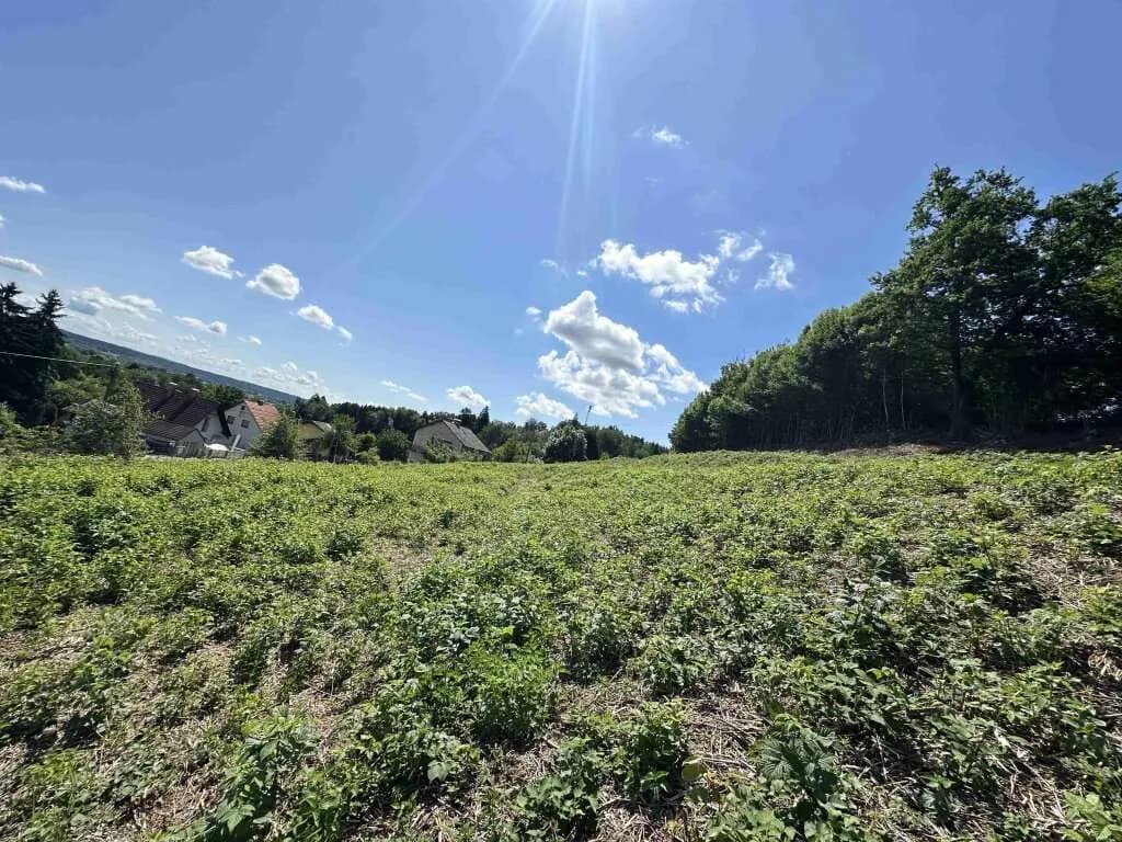 Gewerbeimmobilie kaufen in Deutschlandsberg – 7 743 m², € 1.590.000 – Bild 9 von 9