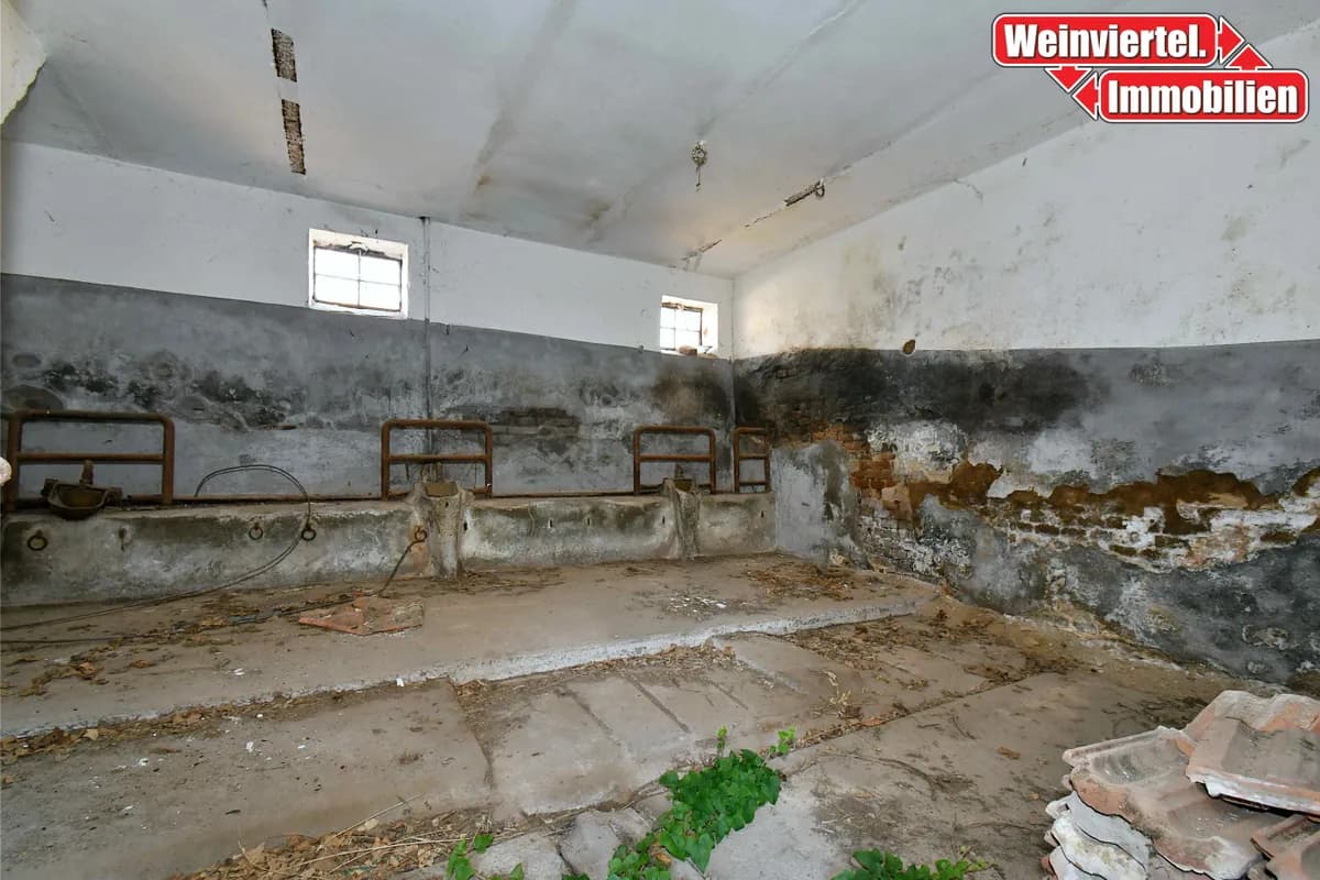 Haus kaufen in Gänserndorf – 120 m², € 195.000 – Bild 11 von 25