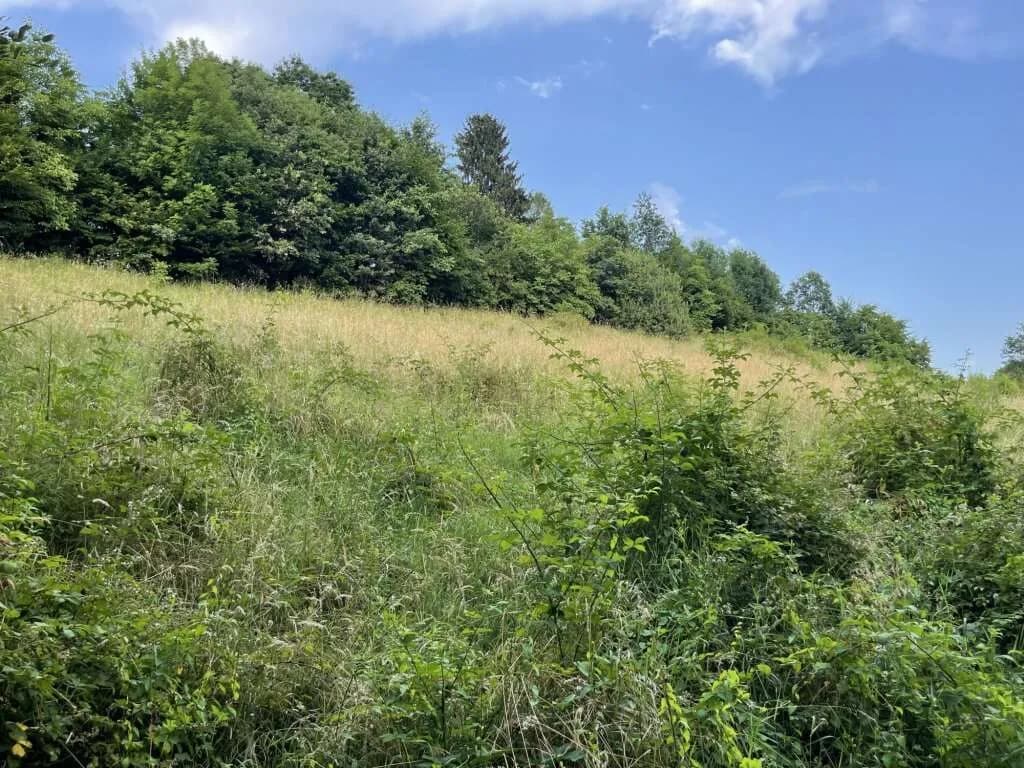 Gewerbeimmobilie kaufen in Deutschlandsberg – 8 697 m², € 869.000 – Bild 7 von 13