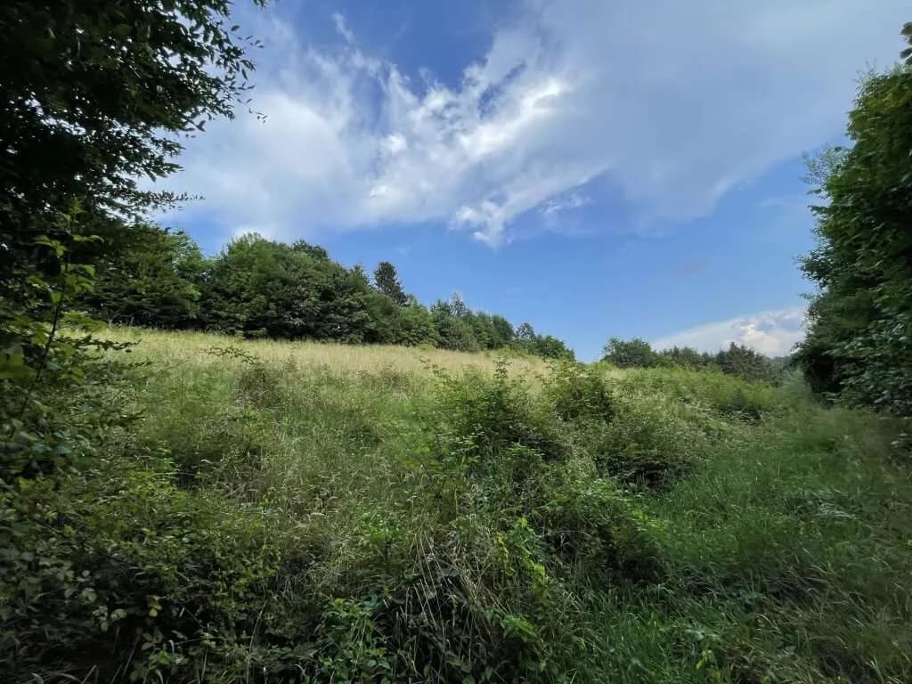 Gewerbeimmobilie kaufen in Deutschlandsberg – 8 697 m², € 869.000 – Bild 8 von 13