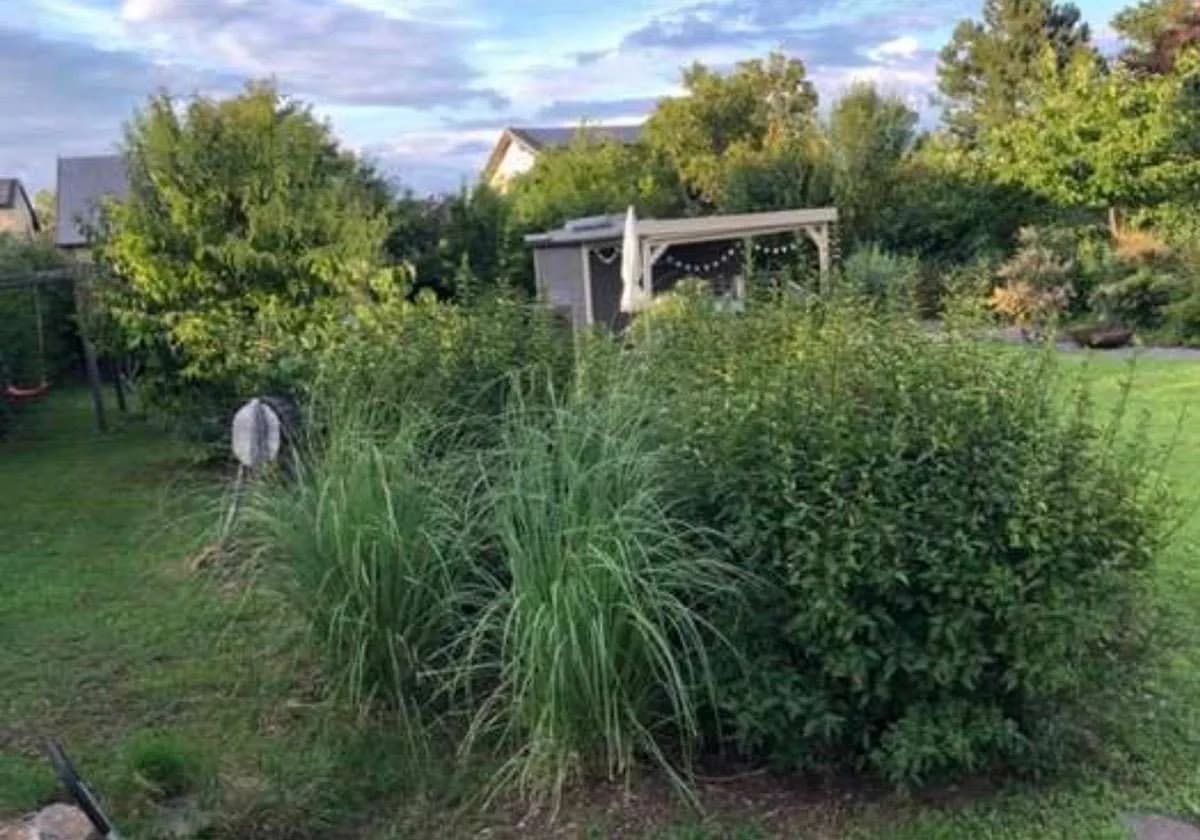 Grundstück kaufen in Baden – 675 m², € 300.000 – Bild 6 von 6