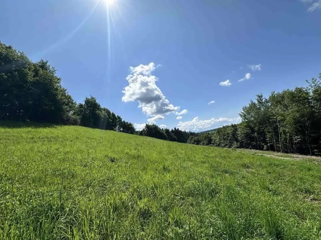 Grundstück kaufen in Deutschlandsberg – 8 697 m², € 869.000 – Bild 5 von 10
