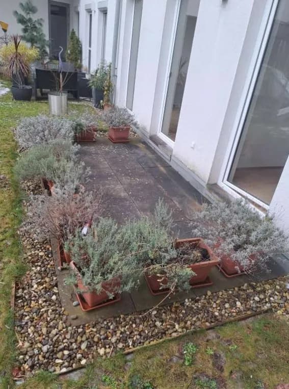 3-Zimmer-Wohnung mieten in Baden – 92,13 m², € 1.314 – Bild 7 von 12