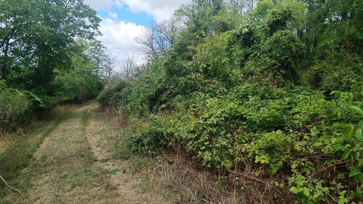 Grundstück kaufen in Gänserndorf – 1 327 m², € 9.500 – Bild 2 von 3