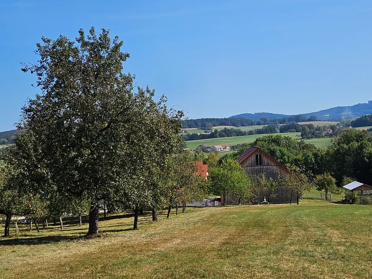 6-Zimmer-Haus mieten in Schärding – 130 m², € 1.200 – Bild 13 von 16