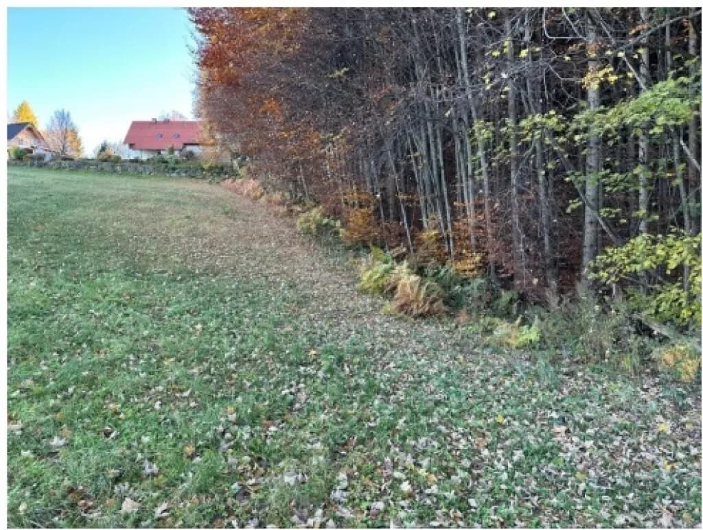 Grundstück kaufen in Deutschlandsberg – 5 507 m², € 99.000 – Bild 1 von 11