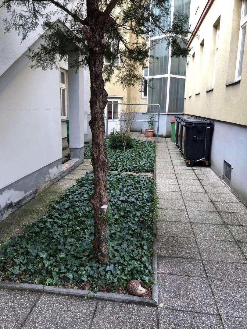 10-Zimmer-Gewerbeimmobilie mieten in Wien – 325 m², € 4.990 – Bild 9 von 22