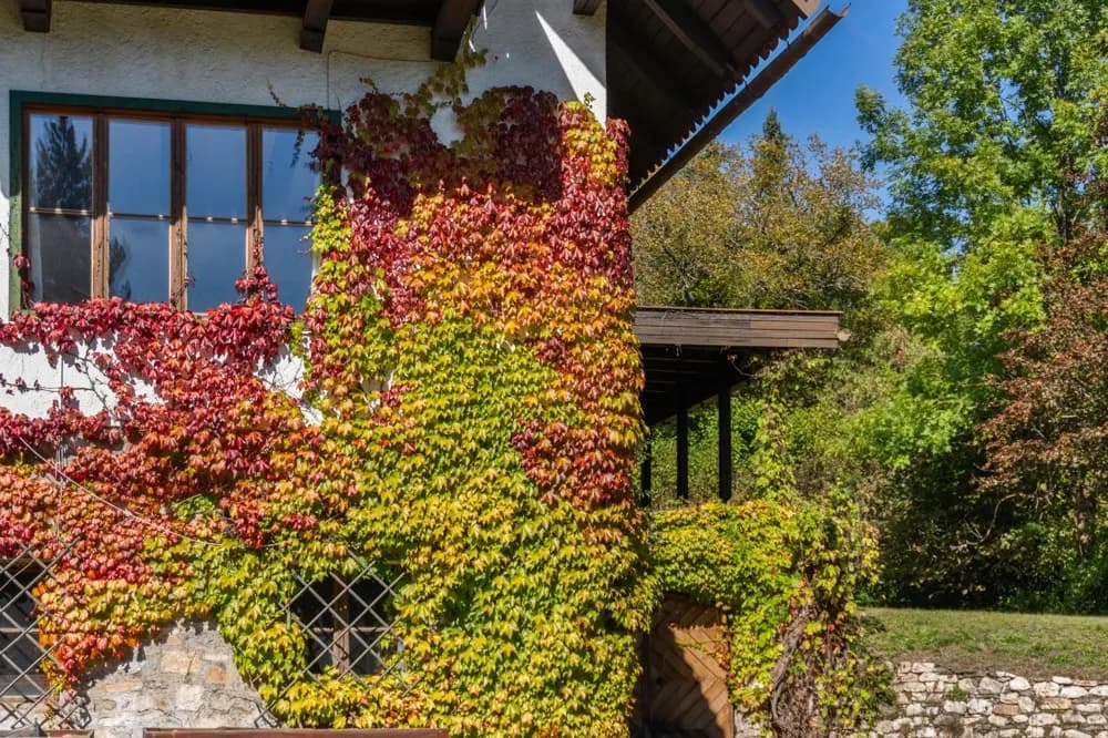 Grundstück kaufen in Villach Land – 2 850 m², € 1.970.000 – Bild 7 von 8