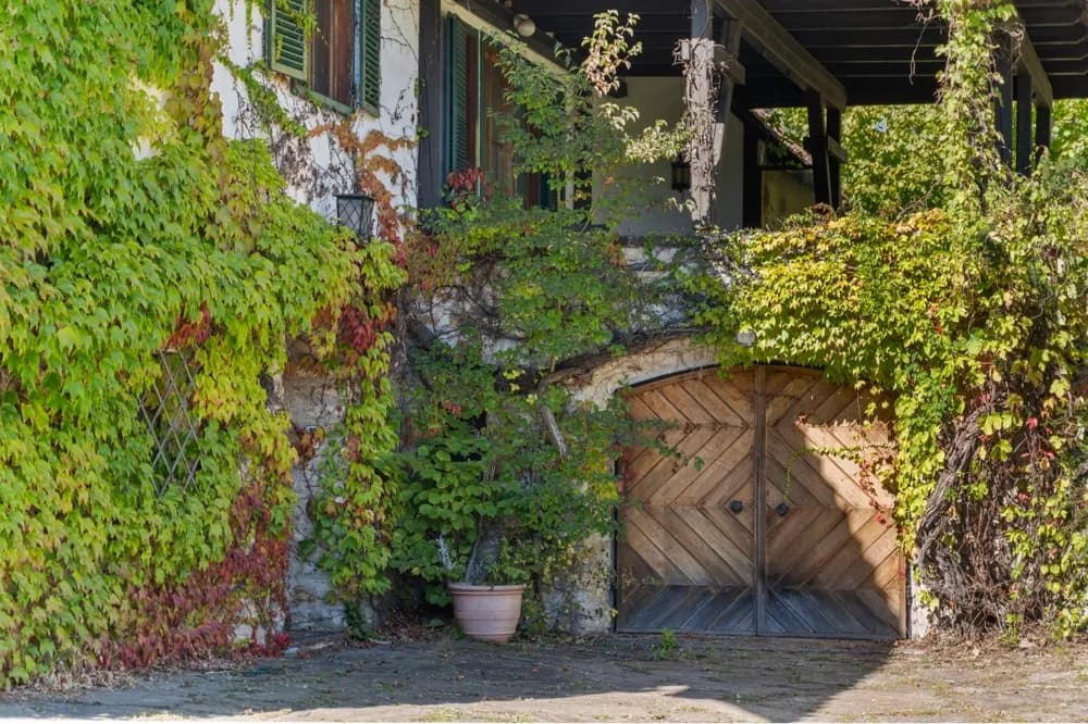 Grundstück kaufen in Villach Land – 2 850 m², € 1.970.000 – Bild 8 von 8