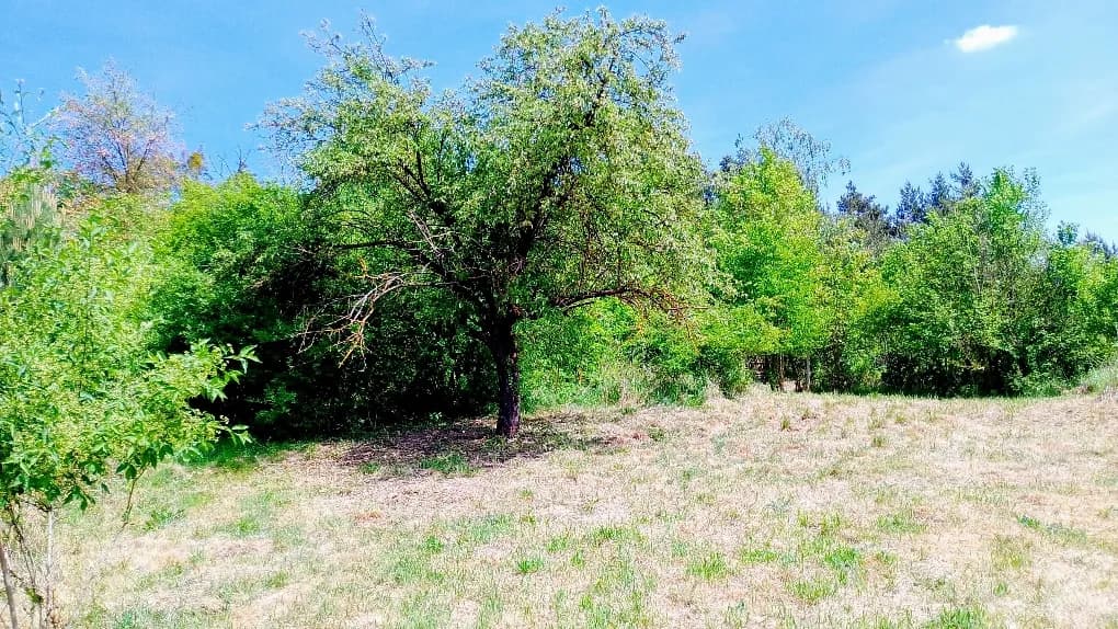 5-Zimmer-Immobilie kaufen in Hollabrunn – 108 m², € 129.000 – Bild 7 von 13