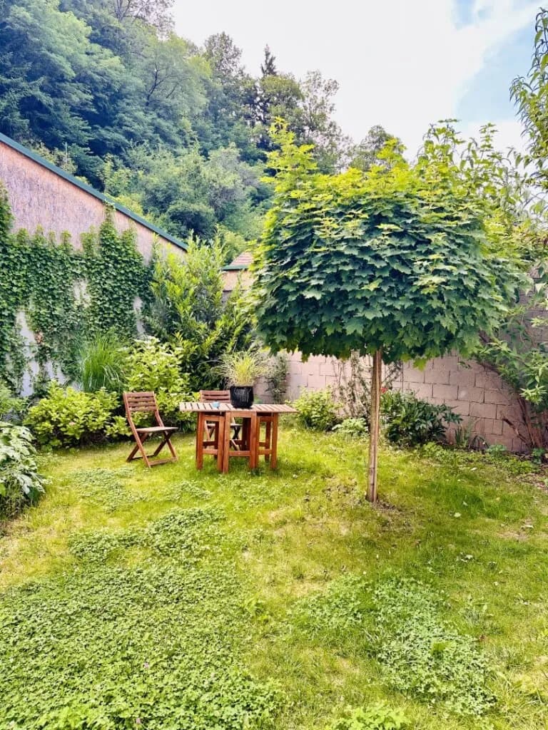2-Zimmer-Wohnung mieten in Neunkirchen – 73,57 m², € 595 – Bild 9 von 10