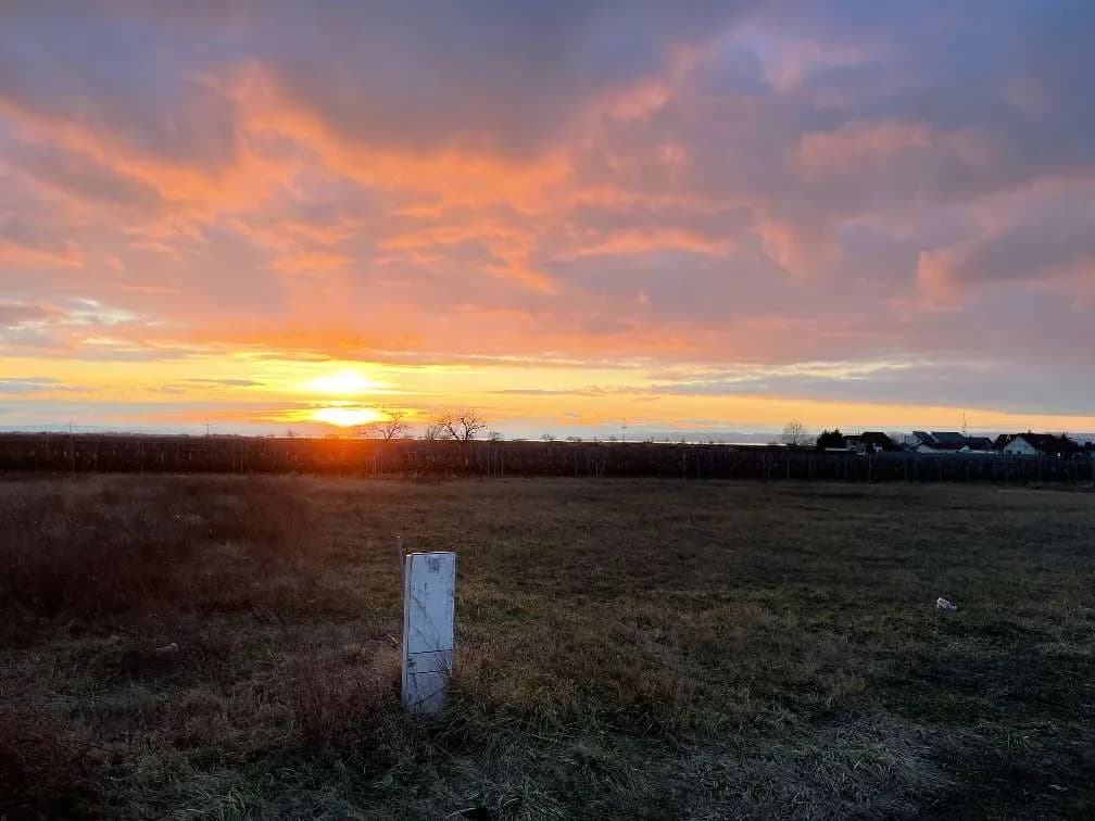 Grundstück kaufen in Neusiedl am See – 560 m², € 220.000