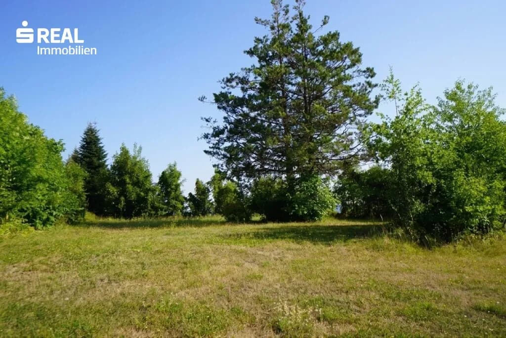 5-Zimmer-Haus kaufen in Gmünd – 3 020 m², € 135.000 – Bild 9 von 40