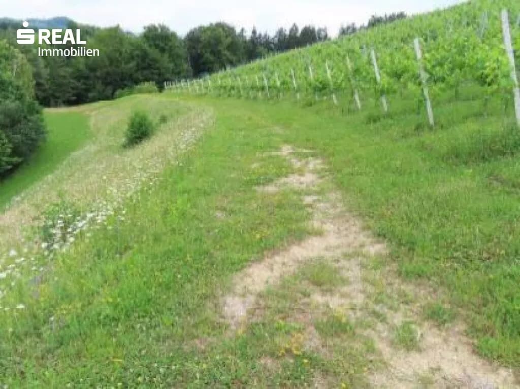 Immobilie kaufen in Leibnitz – 18 788 m², € 137.300