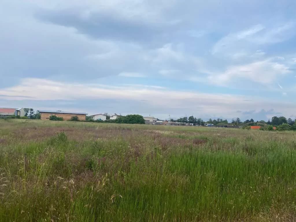 Immobilie kaufen in Gänserndorf – 12 500 m² – Bild 5 von 9