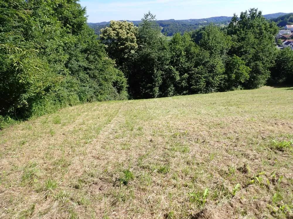 Grundstück kaufen in Jennersdorf – 4 232 m², € 52.000 – Bild 2 von 25