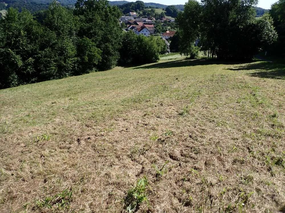 Grundstück kaufen in Jennersdorf – 4 232 m², € 52.000 – Bild 4 von 25