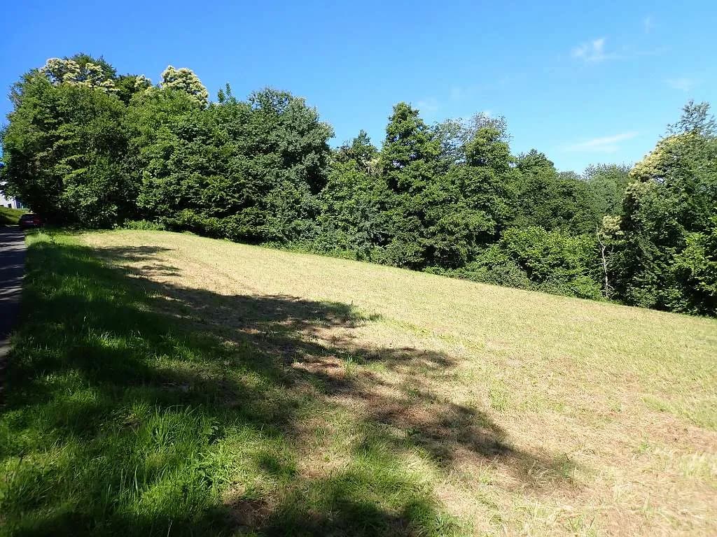 Grundstück kaufen in Jennersdorf – 4 232 m², € 52.000 – Bild 5 von 25