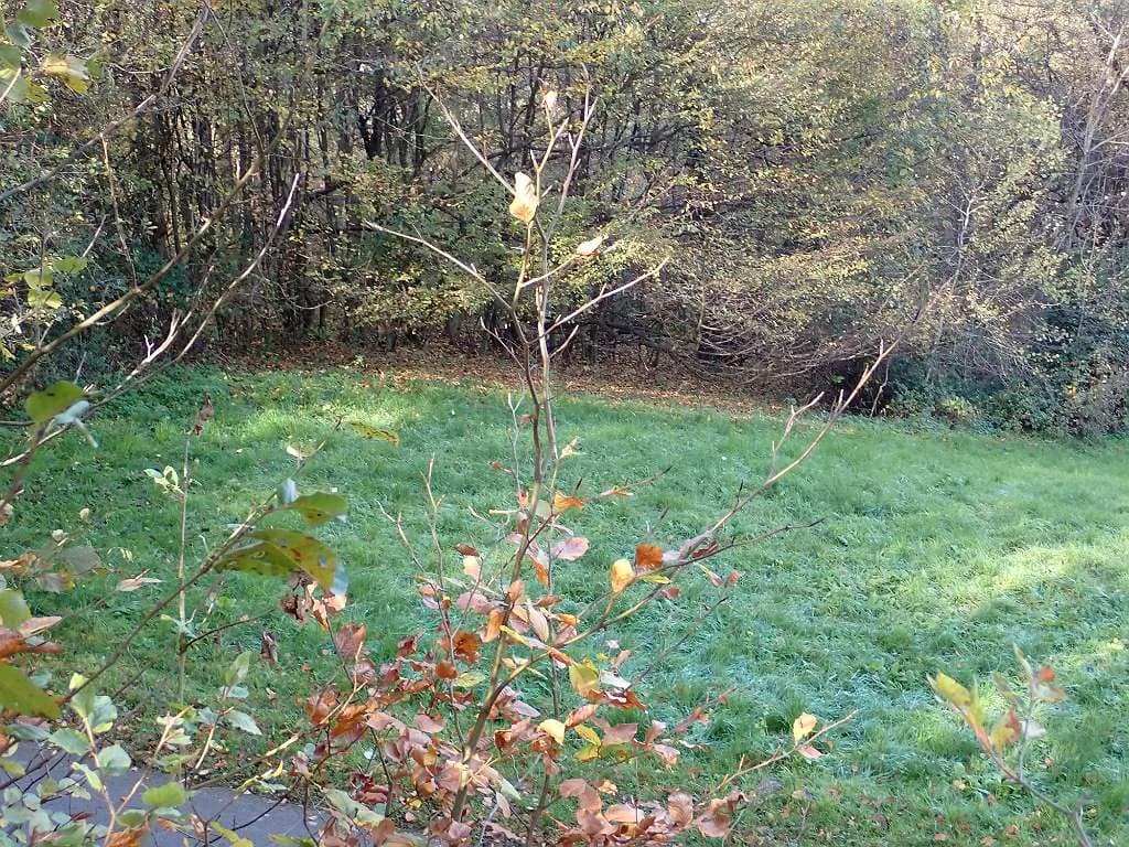 Grundstück kaufen in Jennersdorf – 4 232 m², € 52.000 – Bild 14 von 25