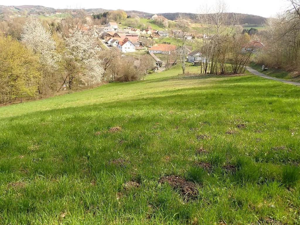 Grundstück kaufen in Jennersdorf – 4 232 m², € 52.000 – Bild 20 von 25