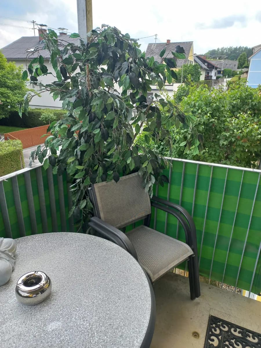 Wohnung mieten in Weiz – 58 m², € 659 – Bild 2 von 7
