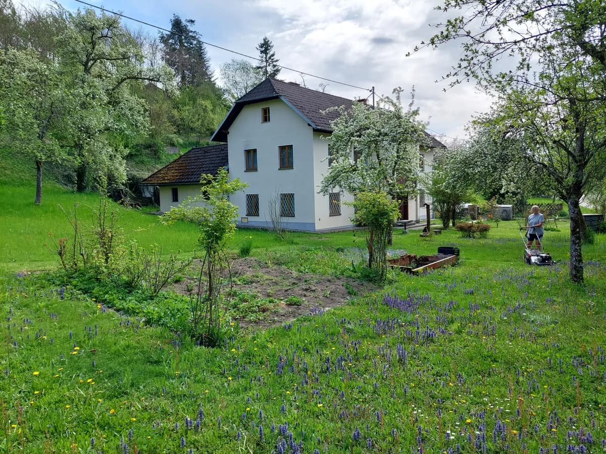 6-Zimmer-Gewerbeimmobilie kaufen in Linz Land – 162 m², € 970.000 – Bild 3 von 9