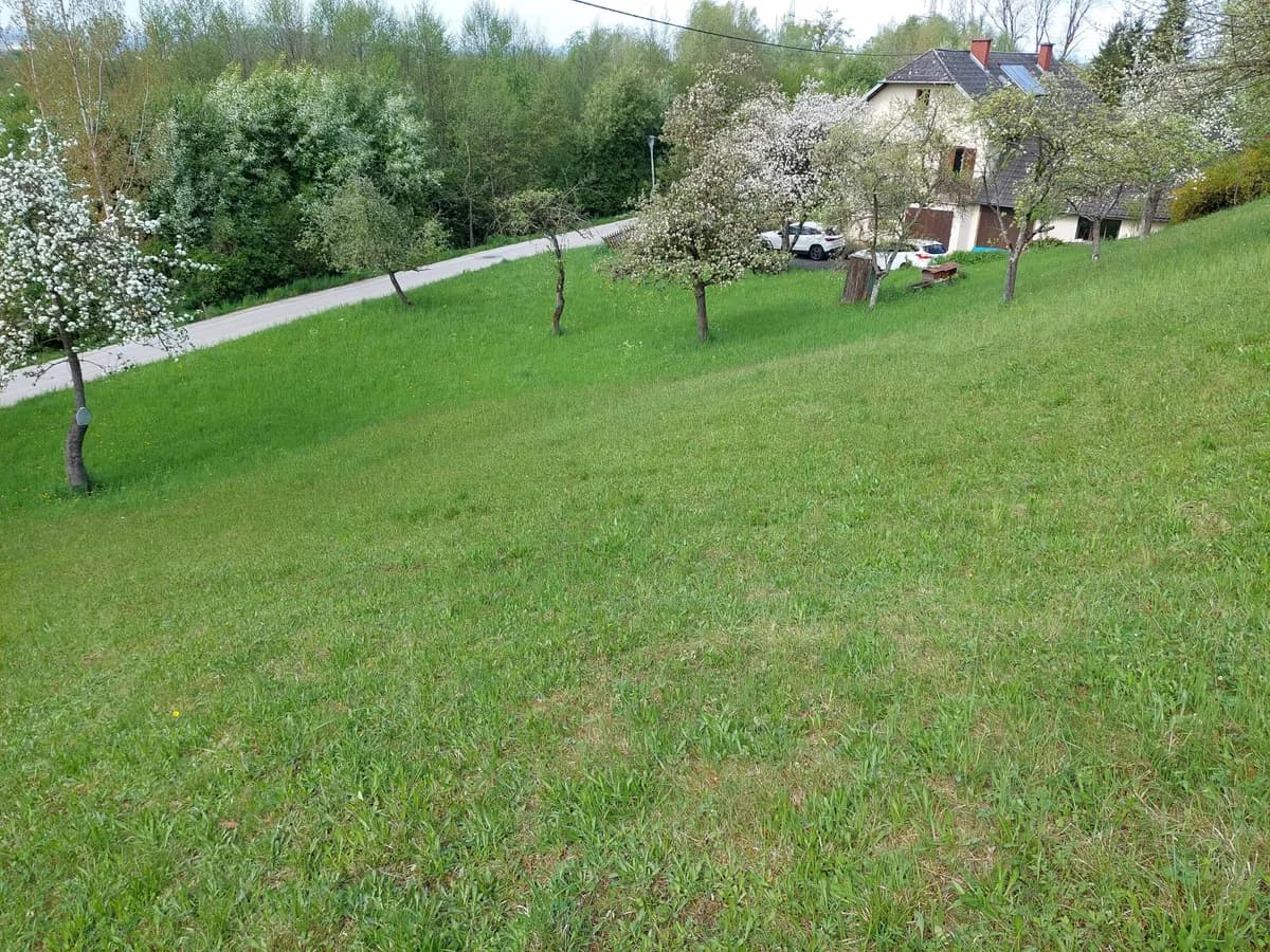 6-Zimmer-Gewerbeimmobilie kaufen in Linz Land – 162 m², € 970.000 – Bild 5 von 9