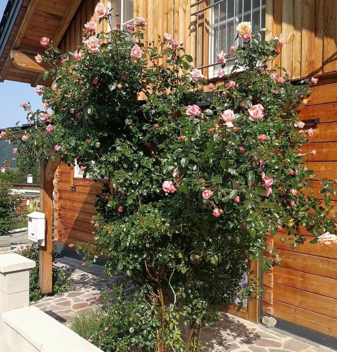 4-Zimmer-Haus kaufen in Liezen – 148 m², € 699.000 – Bild 9 von 9