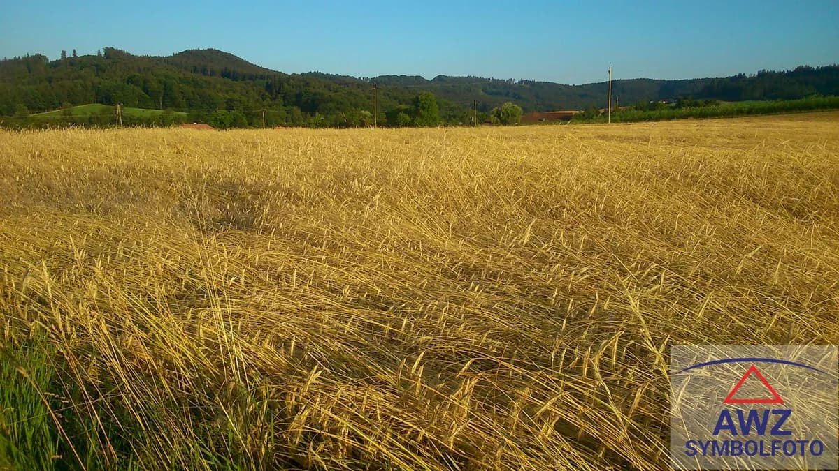 Grundstück kaufen in Steyr – 70 000 m²