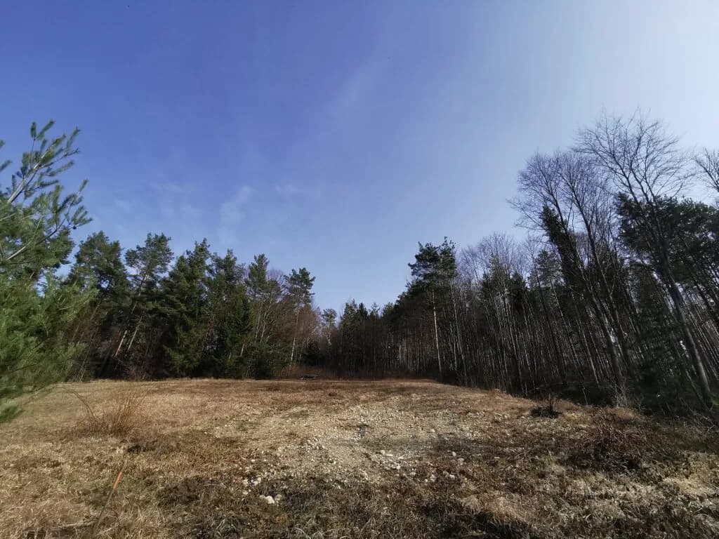 Grundstück kaufen in Wiener Neustadt Land – 1 072 m², € 215.000 – Bild 2 von 4
